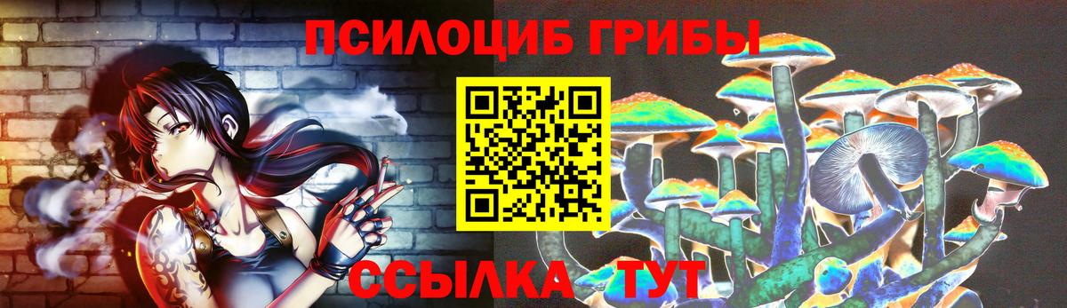 Псилоцибиновые грибы Psilocybine cubensis  Вход с VPN  Калуга 