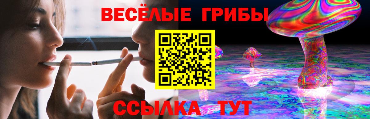 Галлюциногенные грибы мицелий Калуга